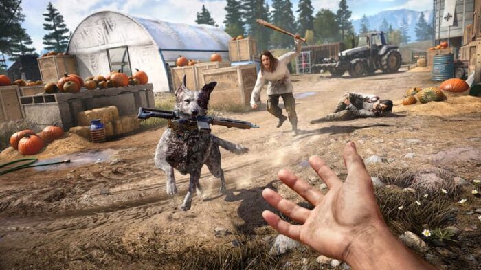 Far Cry 5 Account PC