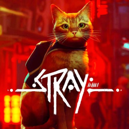 Stray Dostęp Do Konta